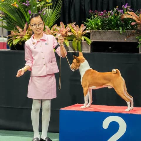 Tri-Star Spirit Kennel